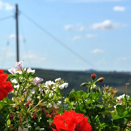 Hotel-restaurant Kelter فندق