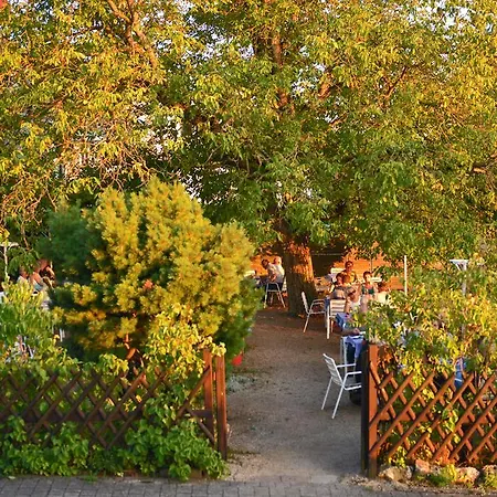 Hotel-restaurant Kelter Otel 2*