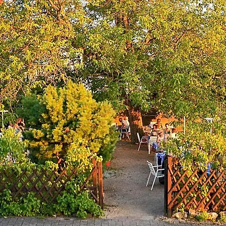 מלון Hotel-restaurant Kelter