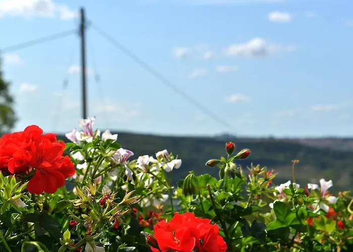 Hotel-restaurant Kelter Hotel